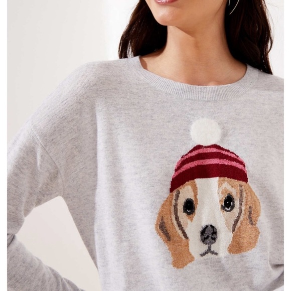 LOFT Sweaters - Dog beagle sweater